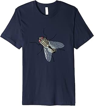【house on the hill】S/S Tee (Insect) House Centipede Identification & Info | American Pest